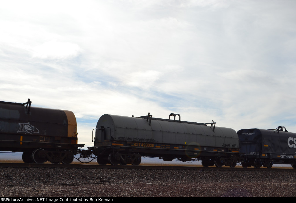 CSXT 493028